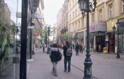 View this image larger